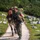 23 Brigade soldier with mule.